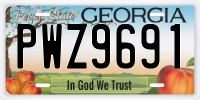 GA license plate PWZ9691