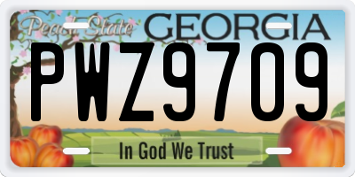 GA license plate PWZ9709