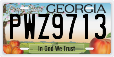 GA license plate PWZ9713