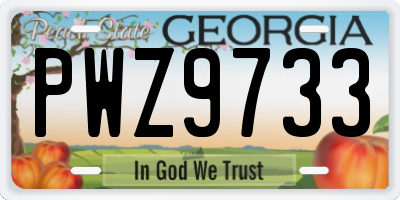 GA license plate PWZ9733