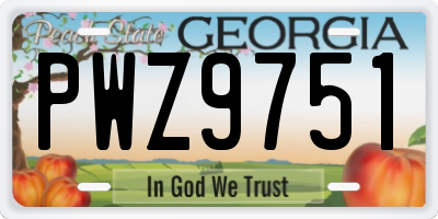 GA license plate PWZ9751