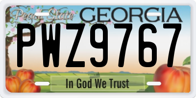 GA license plate PWZ9767