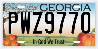 GA license plate PWZ9770