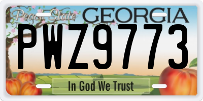 GA license plate PWZ9773