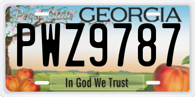 GA license plate PWZ9787