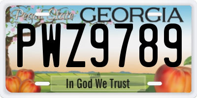 GA license plate PWZ9789
