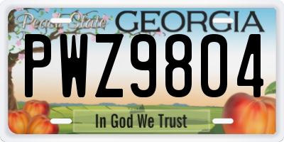 GA license plate PWZ9804