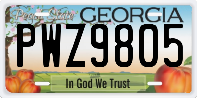 GA license plate PWZ9805