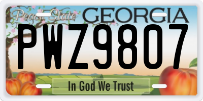 GA license plate PWZ9807
