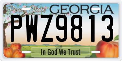 GA license plate PWZ9813