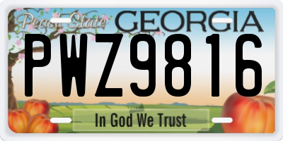 GA license plate PWZ9816