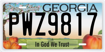 GA license plate PWZ9817