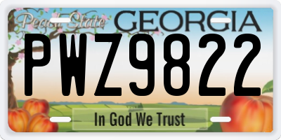 GA license plate PWZ9822