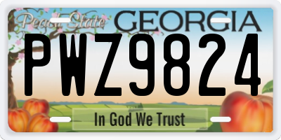 GA license plate PWZ9824