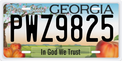 GA license plate PWZ9825