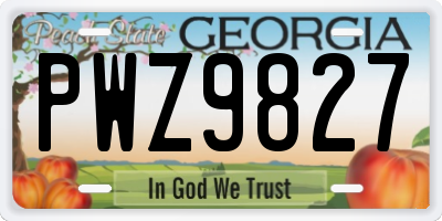 GA license plate PWZ9827