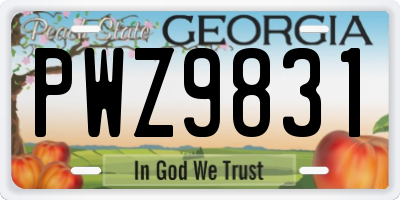 GA license plate PWZ9831