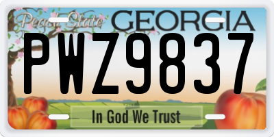 GA license plate PWZ9837