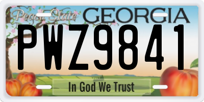 GA license plate PWZ9841