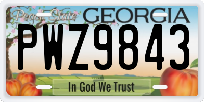 GA license plate PWZ9843