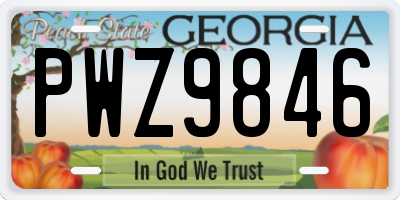 GA license plate PWZ9846