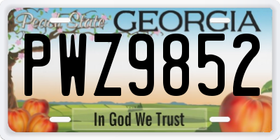GA license plate PWZ9852