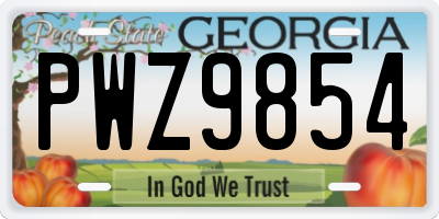 GA license plate PWZ9854