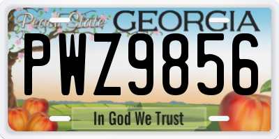 GA license plate PWZ9856