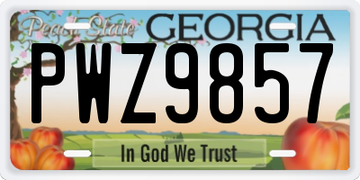 GA license plate PWZ9857