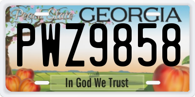 GA license plate PWZ9858