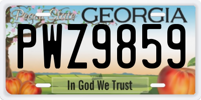 GA license plate PWZ9859