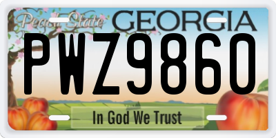 GA license plate PWZ9860