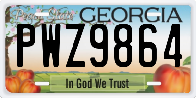 GA license plate PWZ9864