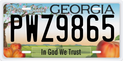 GA license plate PWZ9865