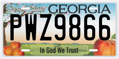 GA license plate PWZ9866