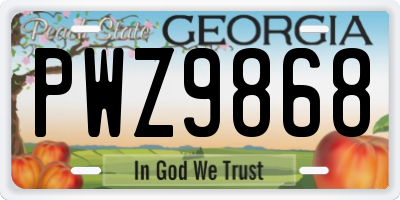 GA license plate PWZ9868