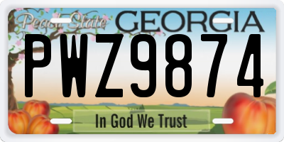 GA license plate PWZ9874