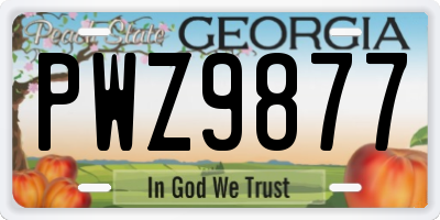 GA license plate PWZ9877