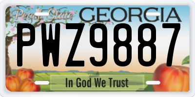 GA license plate PWZ9887