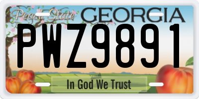 GA license plate PWZ9891
