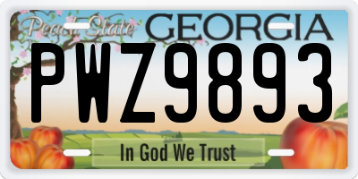 GA license plate PWZ9893