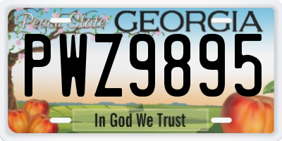 GA license plate PWZ9895