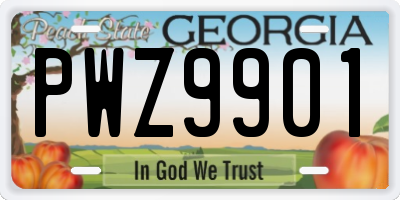 GA license plate PWZ9901