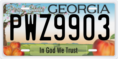 GA license plate PWZ9903
