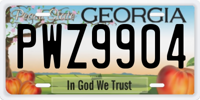 GA license plate PWZ9904