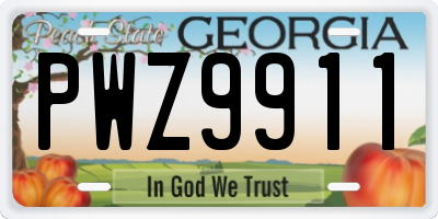 GA license plate PWZ9911