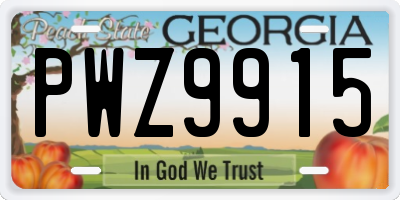 GA license plate PWZ9915