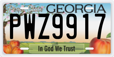 GA license plate PWZ9917