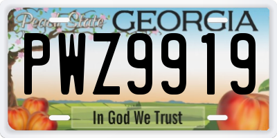 GA license plate PWZ9919