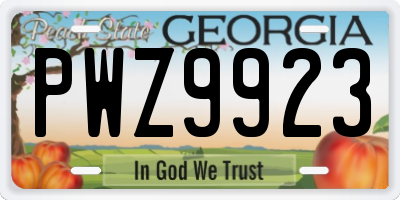 GA license plate PWZ9923